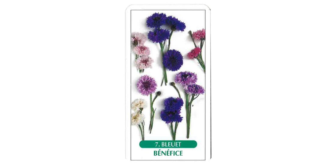 Tarot Des Fleurs La Signification Des 25 Cartes Femme