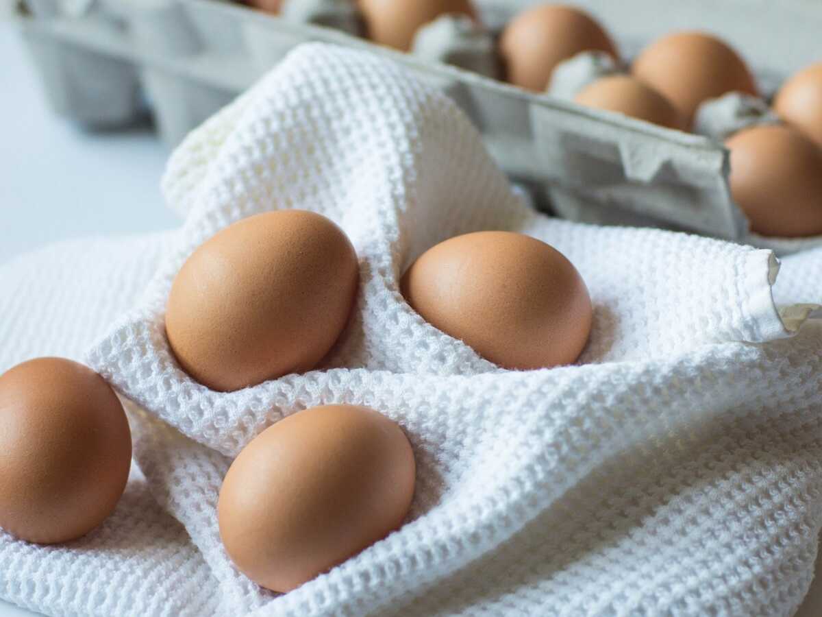 Test des œufs: sont-ils encore bons? Conservation des œufs