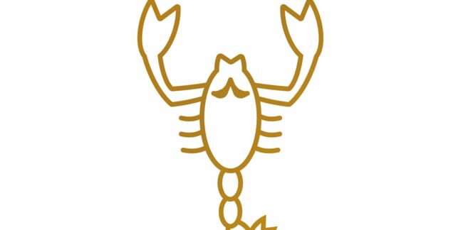 Horoscope travail et argent du Scorpion 2020 par Marc Angel