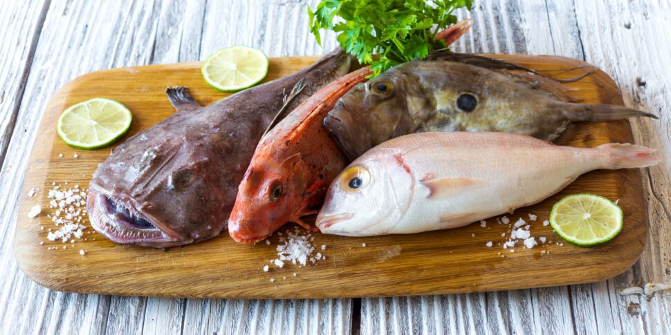 Repas de fête pas cher : les astuces d’un pro pour trouver du poisson à petits prix