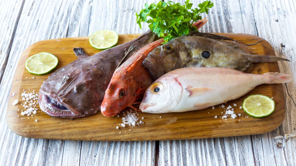 Repas de fête pas cher : les astuces d’un pro pour trouver du poisson à petits prix