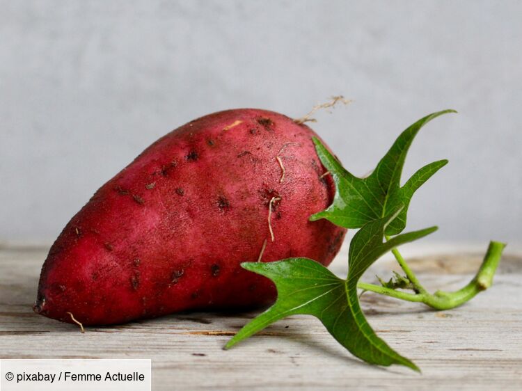 La patate douce - Quelles sont ses origines et de quelle manière l