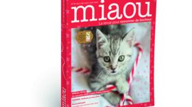 Un Chat Qui Ronronne Sur Commande Femme Actuelle Le Mag