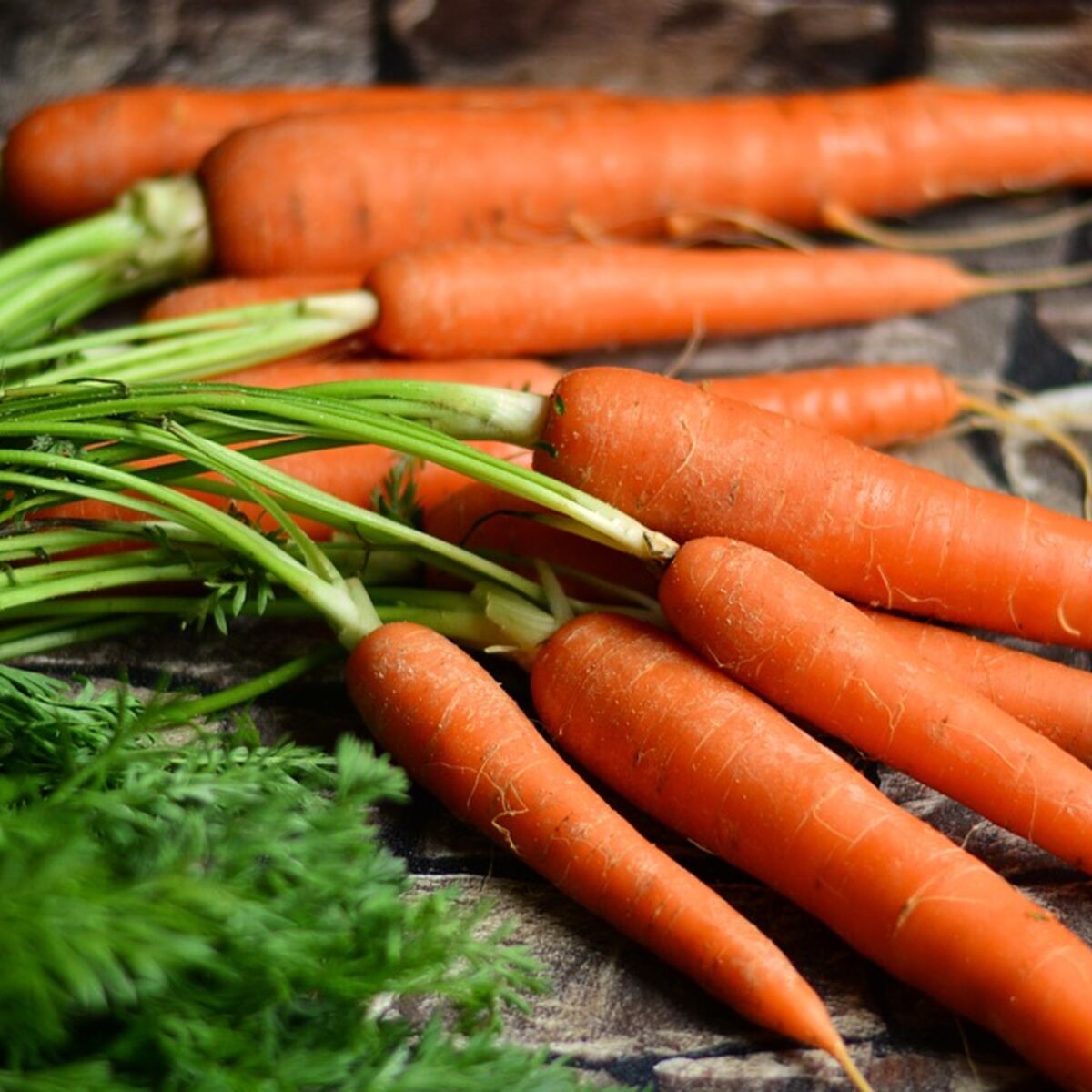 Comment Faire Une Puree De Carottes Femme Actuelle Le Mag
