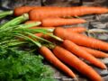 Comment faire une purée de carottes ?