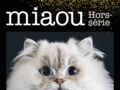 MIAOU : les chats photographiés comme des stars de cinéma