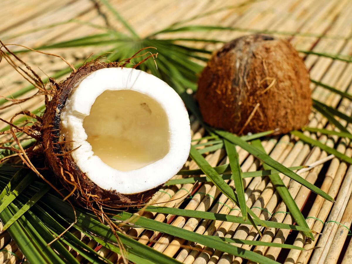 Noix De Coco Comment Bien La Choisir La Conserver Et La Deguster Femme Actuelle Le Mag