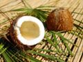 Noix de coco : comment bien la choisir, la conserver et la déguster