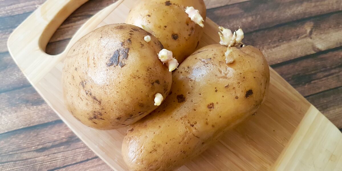 Comment Empecher Les Pommes De Terre De Germer Femme Actuelle Le Mag