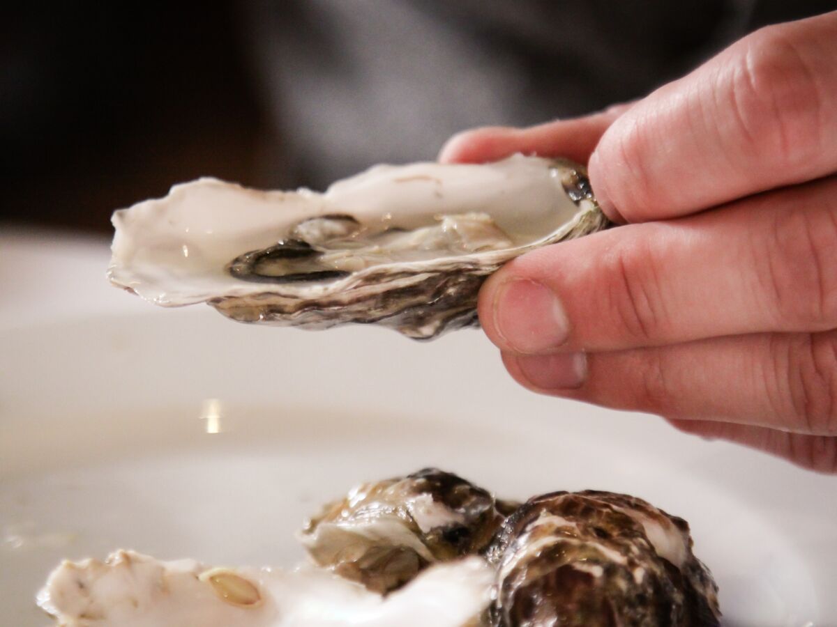 Gastro Entérite La Faute Aux Huîtres Femme Actuelle Le Mag
