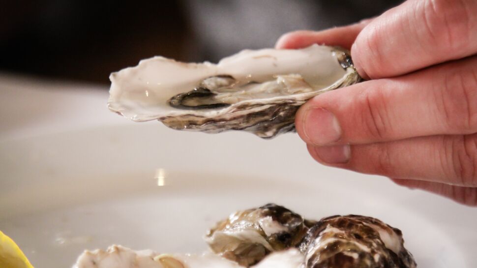 Gastro-entérite : la faute aux huîtres ?