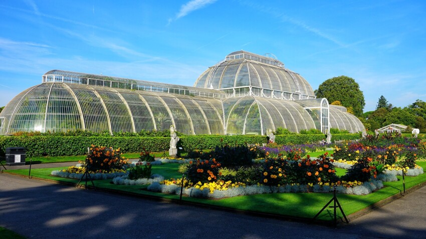 Londres : à la découverte des jardins royaux de Kew