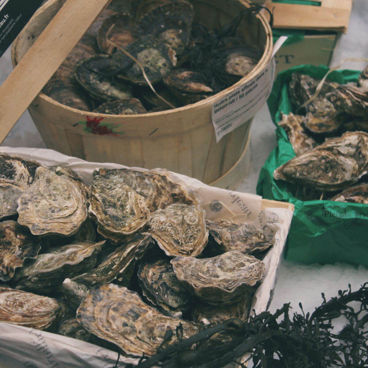 Huitres 7 Varietes A Re Decouvrir Femme Actuelle Le Mag