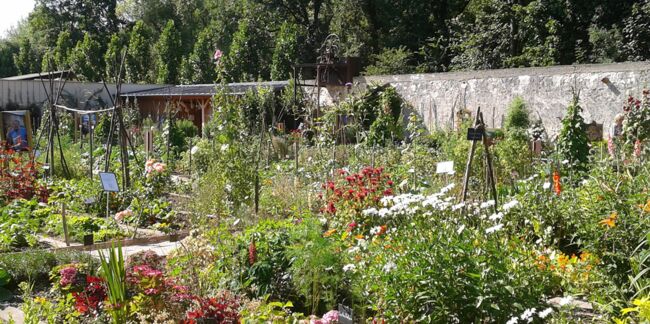Zoom sur les plus beaux jardins potagers de France