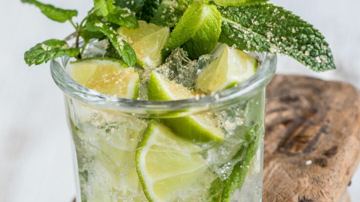 Mojito Nos Conseils Pour Le Reussir Et Nos Recettes Preferees