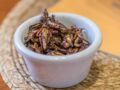 Des insectes dans notre assiette ? Une nouvelle tendance culinaire