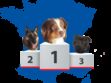 Le palmarès 2019 des chiens de race préférés des Français