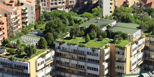 Forêts urbaines: les citadins reboisent les villes