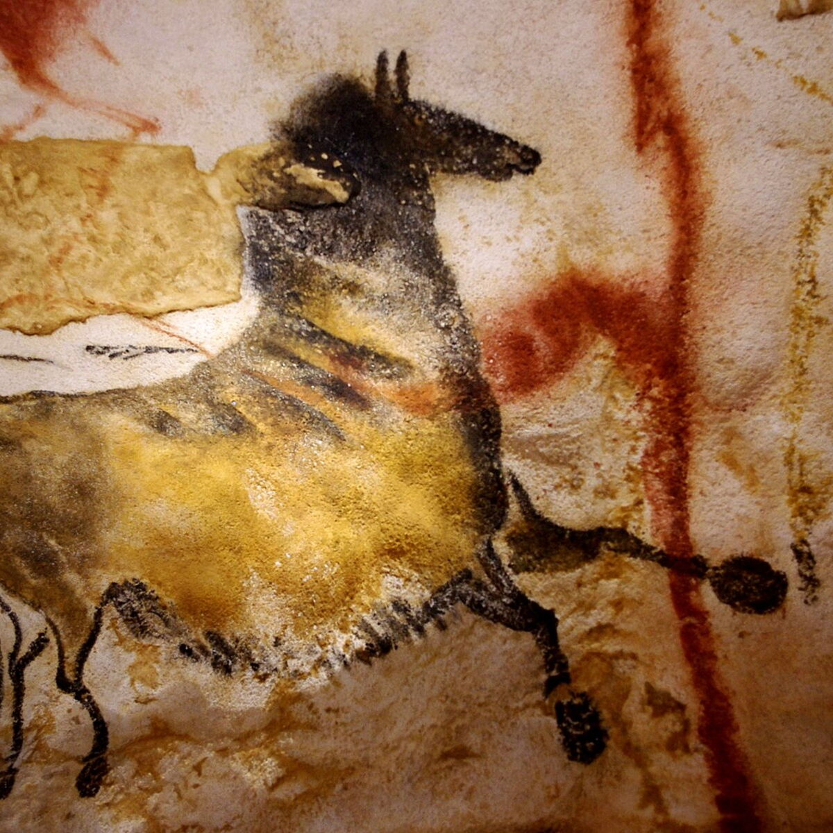 Qui Est Robot Le Chien Decouvreur De La Grotte De Lascaux Femme Actuelle Le Mag