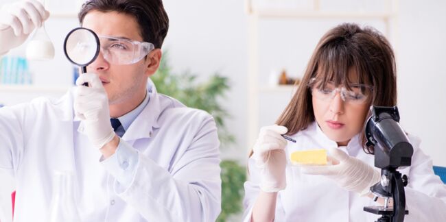 Fringales : et si vous réguliez votre appétit grâce à une bactérie ?