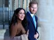 Le prince Harry et Meghan Markle débarquent sur Netflix : les abonnés en colère