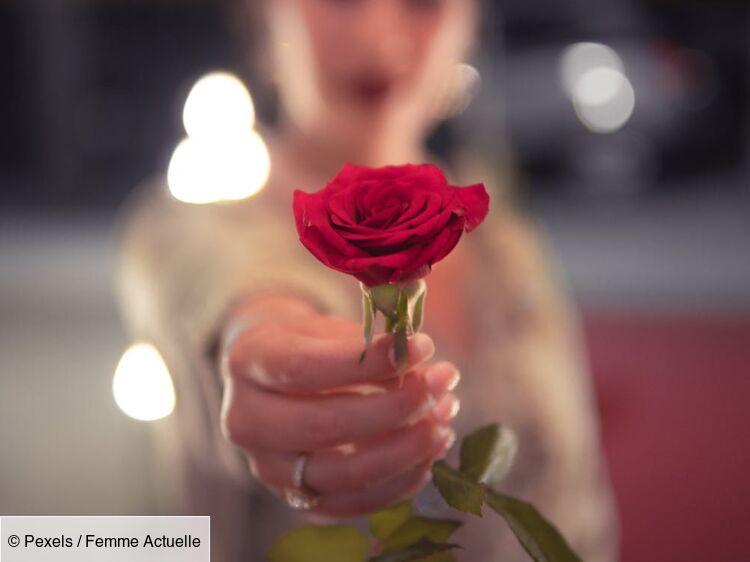 Quelles fleurs offrir pour la Saint-Valentin selon leur signification :  Femme Actuelle Le MAG
