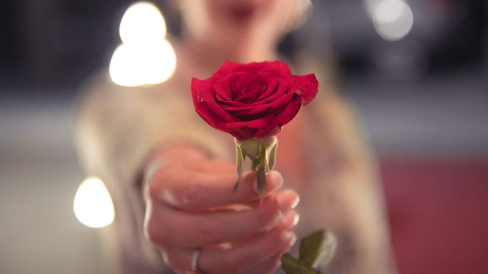 Saint-Valentin : roses, lys, marguerites que diront les fleurs de votre  bouquet ?