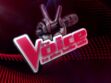 "The Voice" : les talents sont-ils payés lors de leurs prestations ?