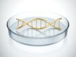 Et si on essayait les tests ADN ?