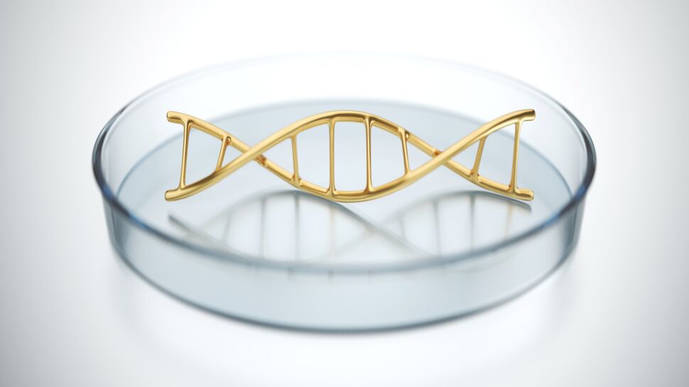 Et si on essayait les tests ADN ?