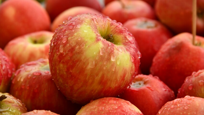 Quels sont les bienfaits de la pomme ? : Femme Actuelle Le MAG