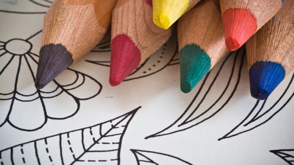 coloriage nature : occupez vos enfants avec nos dessins - La