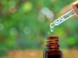 Immunité : 6 huiles essentielles pour booster vos défenses naturelles