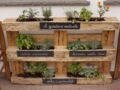 Confinement : 6 idées pour jardiner sans quitter votre salon