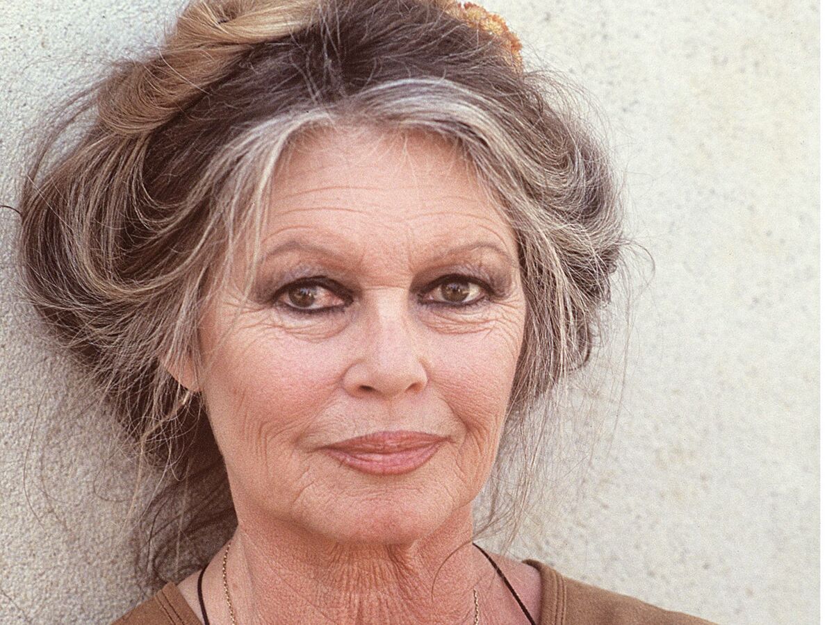 le fils de brigitte bardot
