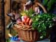 10 fruits et légumes à cultiver à la maison, sans jardin