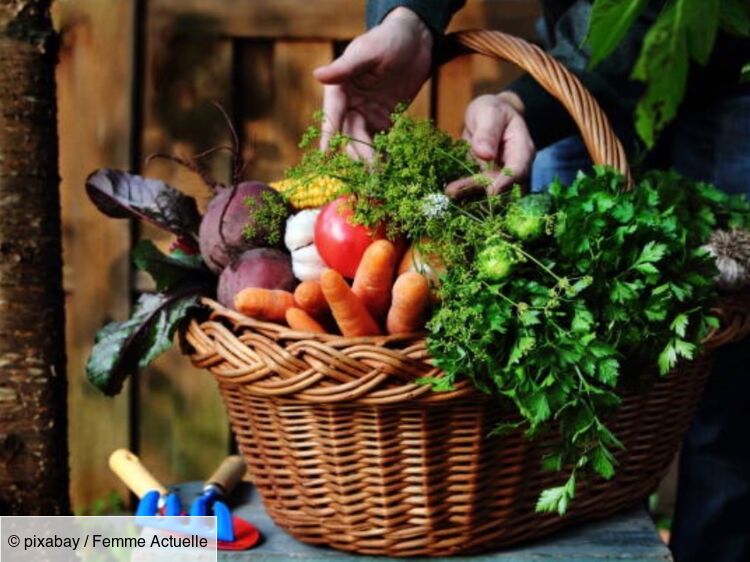 Jardin : cultiver des fruits et légumes chez soi - Châtelaine