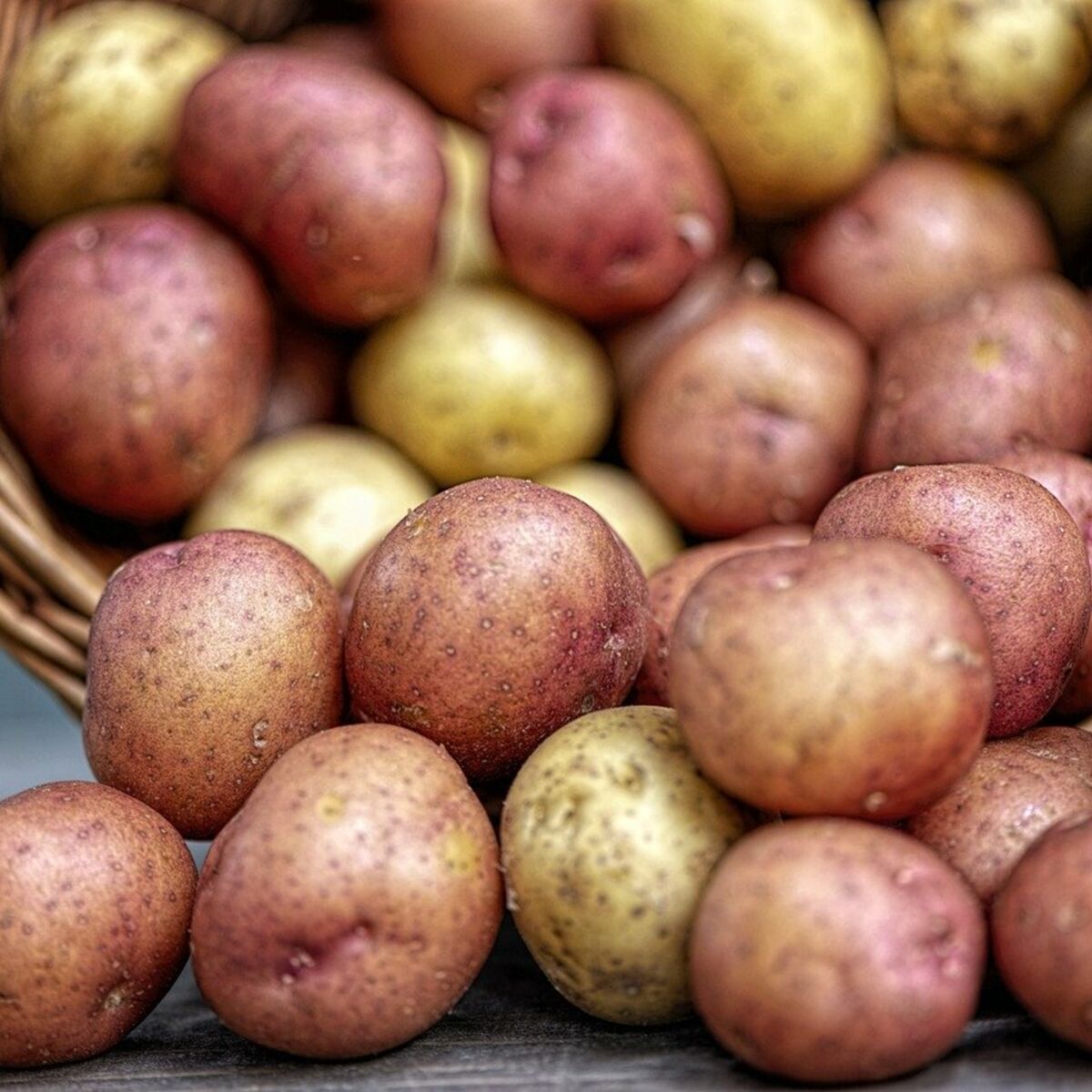 Comment conserver des pommes de terre épluchées ? : Femme Actuelle Le MAG