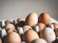Salmonelle : 500.000 œufs vendus chez Carrefour, Auchan et Leclerc possiblement contaminés