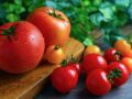10 idées de recettes faciles et originales à la tomate