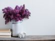 6 astuces pour conserver un beau bouquet de lilas