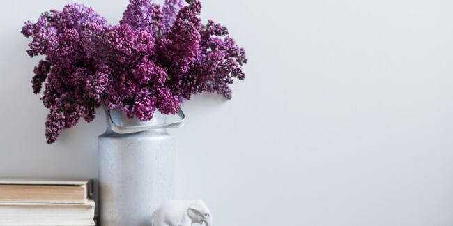 6 astuces pour conserver un beau bouquet de lilas