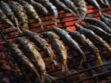 Comment réussir les sardines grillées au barbecue : nos recettes faciles