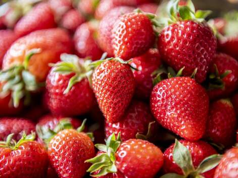 Desserts aux fraises : nos meilleures recettes