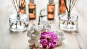L Homeopathie Un Allie Contre La Constipation Femme Actuelle Le Mag