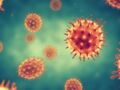 Virus G4 : faut-il s’inquiéter de la nouvelle souche de la grippe porcine découverte en Chine ?