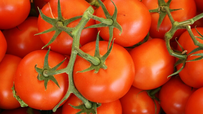 Quels sont les bienfaits de la tomate ? : Femme Actuelle Le MAG
