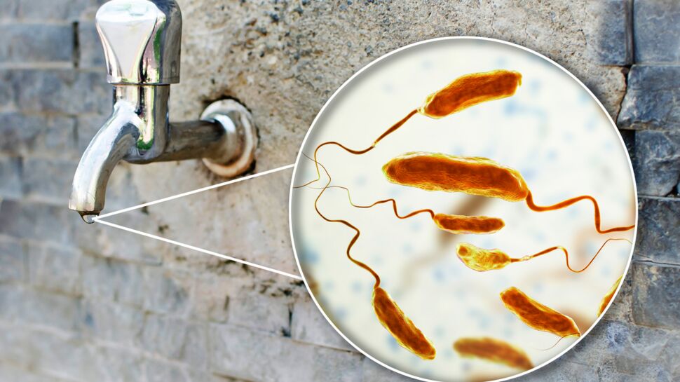 Choléra : ce qu'il faut savoir sur cette maladie qui se transmet par infection bactérienne