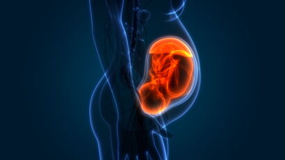 Hypospadias Causes Symptomes Et Traitements De Cette Anomalie Congenitale Femme Actuelle Le Mag