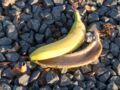 Peau de banane, trognon de pomme : pourquoi il ne faut surtout pas les jeter dans la nature